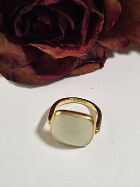 LUCAS JACK

Square Resin Ring In Mint/pistachio Green